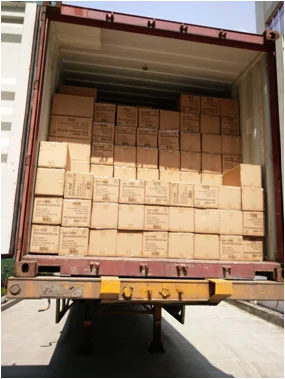 paste-pic-dp_uuid_dnn3x