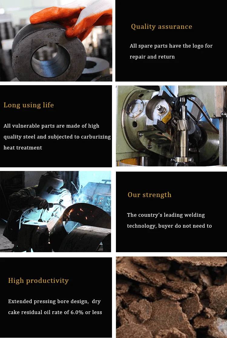 cold oil press machine