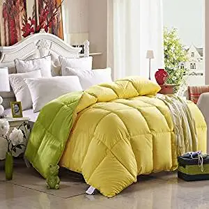 Buy Green And Yellow Comforter Teen Comforter Kids Comforter Down