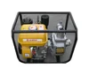 Agricultural/Farm Diesel Engine Power Water Pump Wp30