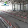 Steel chicken egg poultry farm construction