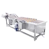 stainless steel apple/pear/mango/fruit/vegetable washing/cleaning/processing machine/equipment