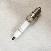 4924504 Advantage Supply Generator Set Engine Parts Nature Gas Spark Plug QSK45 QSK60 Spark Plug