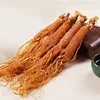 high quality china supplier korean red ginseng wholesale