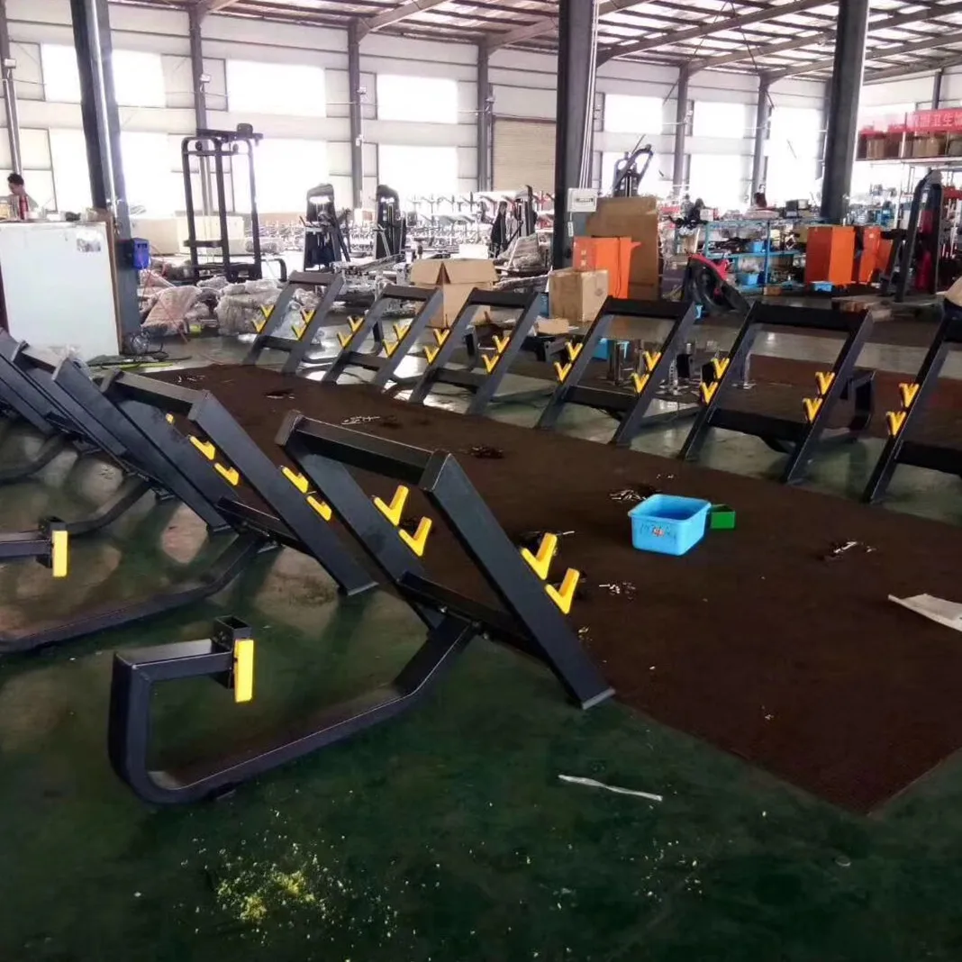 fitness preacher curl