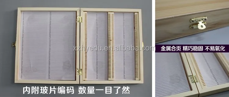Most popular 100pieces Slide Storage wooden pathology microscope slides box