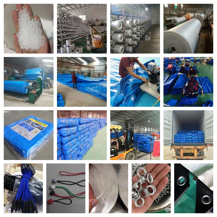 China Factory Good Quality Custom PVC PE Tarpaulin Roll for Truck Car Roof