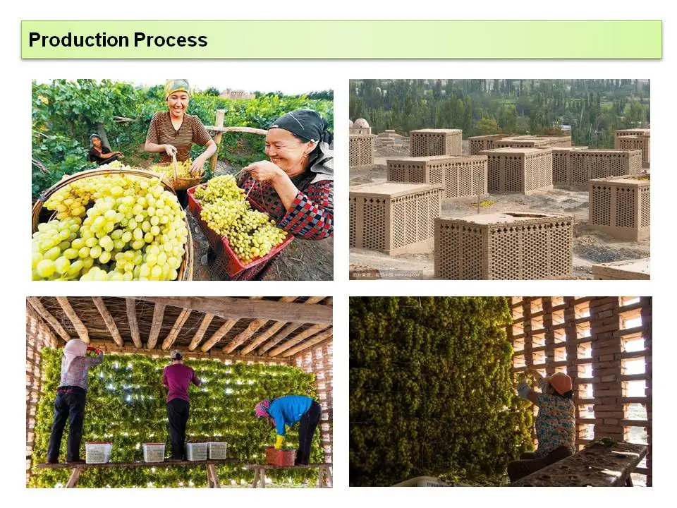 DT-SD-011seeded raisin/dried fruit company/chinese dried food