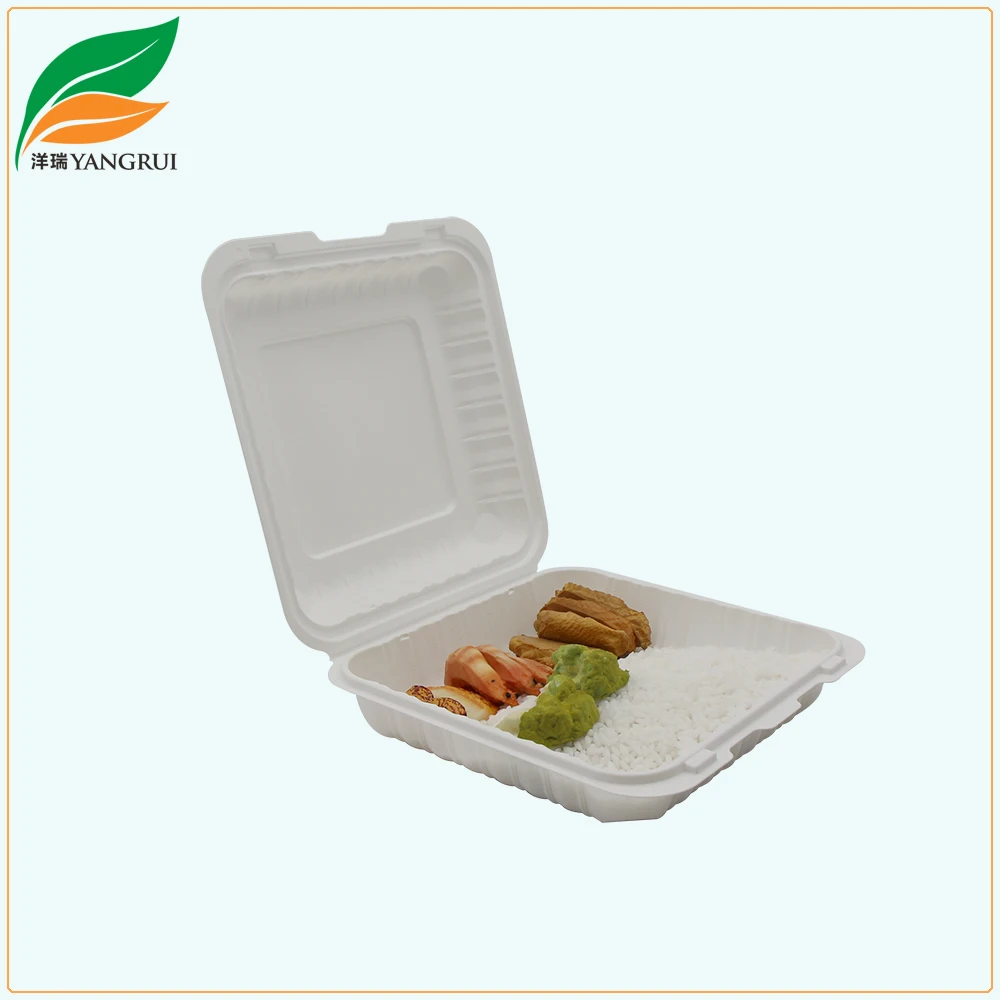 
9x9 Inch Microwave Clamshell Biodegradable Thermoforming Hinged Food Container 