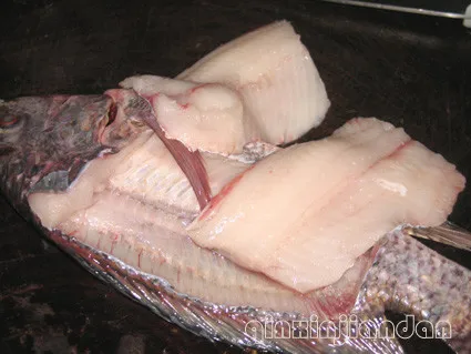 tilapia filleting4.jpg