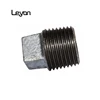 CE approved plain type malleable Cored Plug pipe fitting