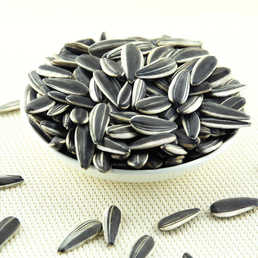 
export egypt long type black sunflower seeds from Inner Mongolia China 