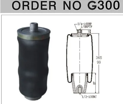 300.jpg