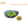 Factory Supply Lotus Plumule Extract Lotus Seed Core Extract Liensinine/Lotus seed extract/CAS:2586-96-1
