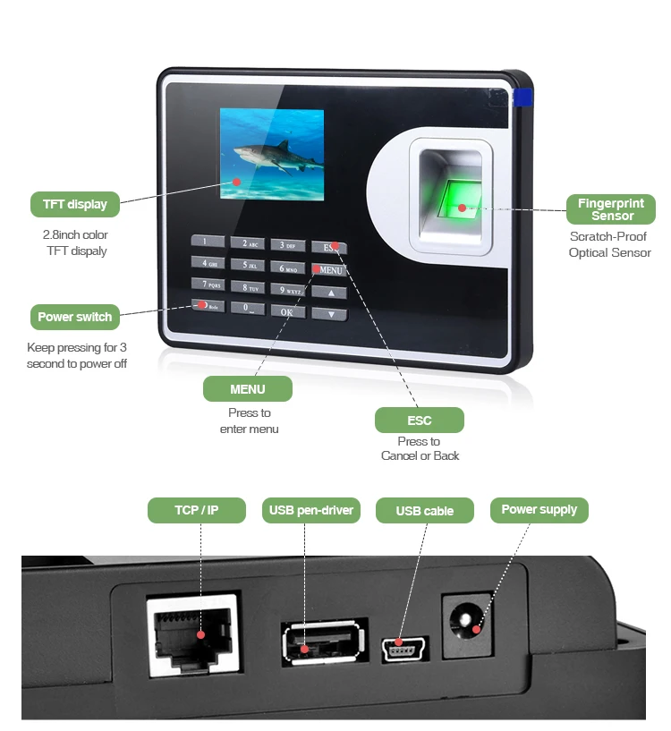 fingerprint (1).jpg