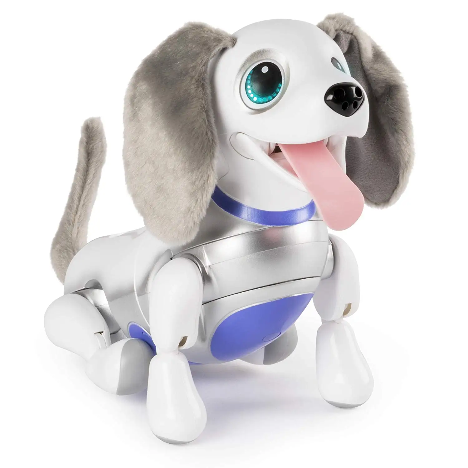 luciana's robotic dog