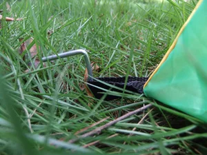 DSCF1373.JPG