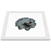 DEEP Photo Studio Fill Light LED Shadowless Light Panel 38 x 38 cm Dimmable Photography Softbox Bottom Light