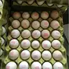 industrial automatic time and date marking machine printing for eggs