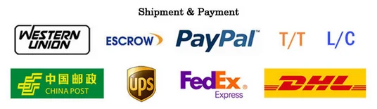 ShanRen latest design light weight wholesale usb led bike light