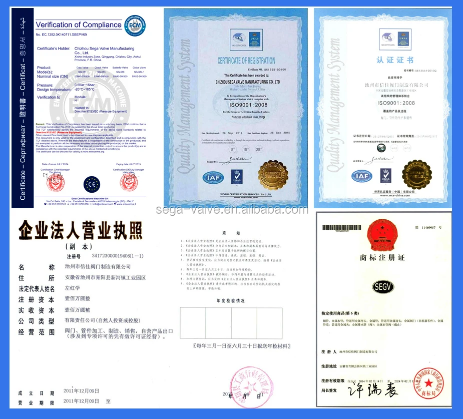 sega valve certification.jpg