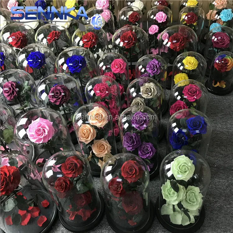 Wholesale Eternal White Rose Preserved Flower In Glass Tubes For