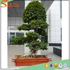 plastic natural plants banyan tree bonsai artificial bonsai tree for sale