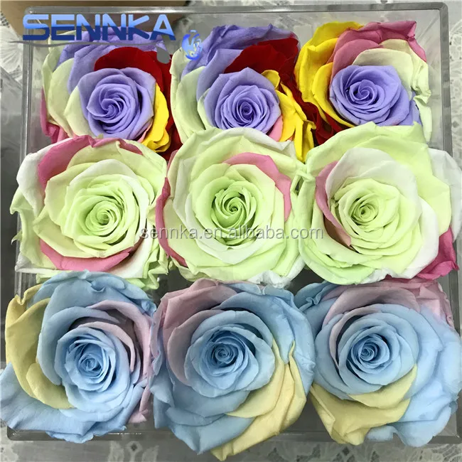 Roses Naturelles Preservees Fleurs Coupees Fraiches Noms Scientifiques De Fleur Bebe Souffle Fleur Buy Fleur De Souffle De Bebe Fleurs Coupees Fraiches Fleurs Conservees Naturelles Product On Alibaba Com
