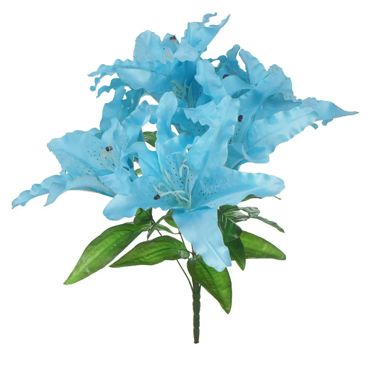 Cheap Blue Tiger Lily, find Blue Tiger Lily deals on line at