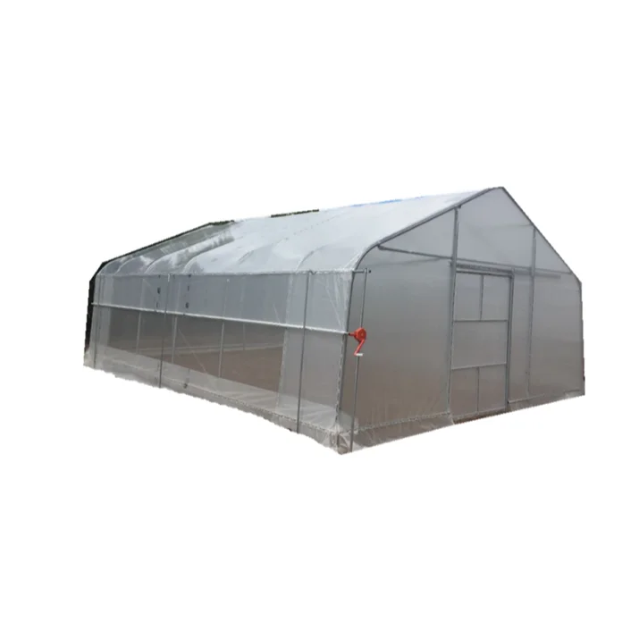 6 m X 6m Garden tunnel/ Venlo-type greenhouse for commercial