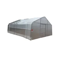 

6 m X 6m Garden tunnel/ Venlo-type greenhouse for commercial