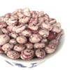 hot sale high quality customized wholesale pinto bean