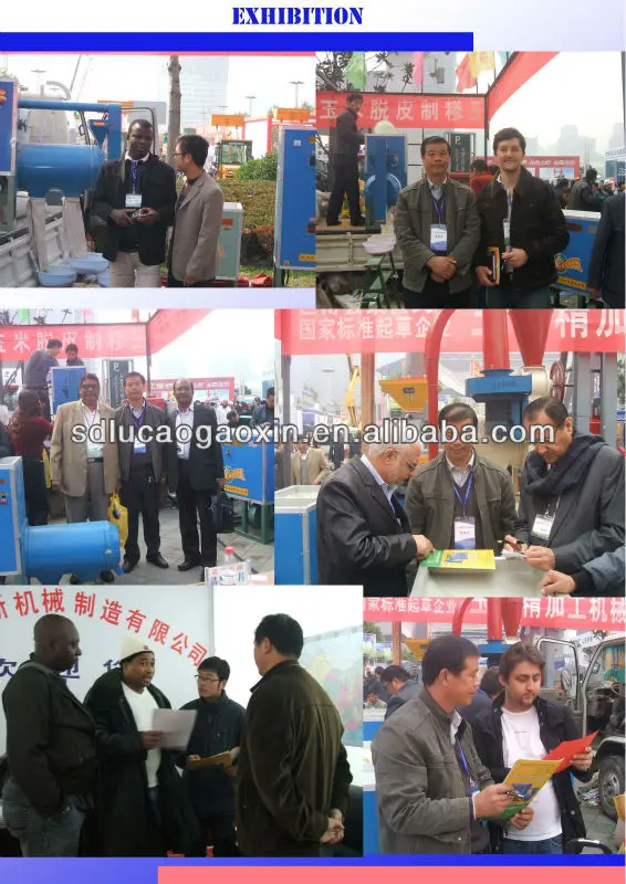 Lucao high tech machinery 6FW-D1 corn grits milling machine