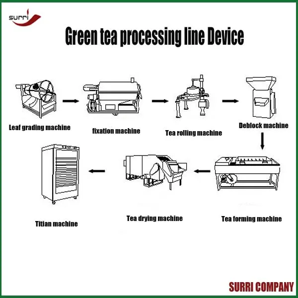 Black Tea Production Line 200kg/day in India