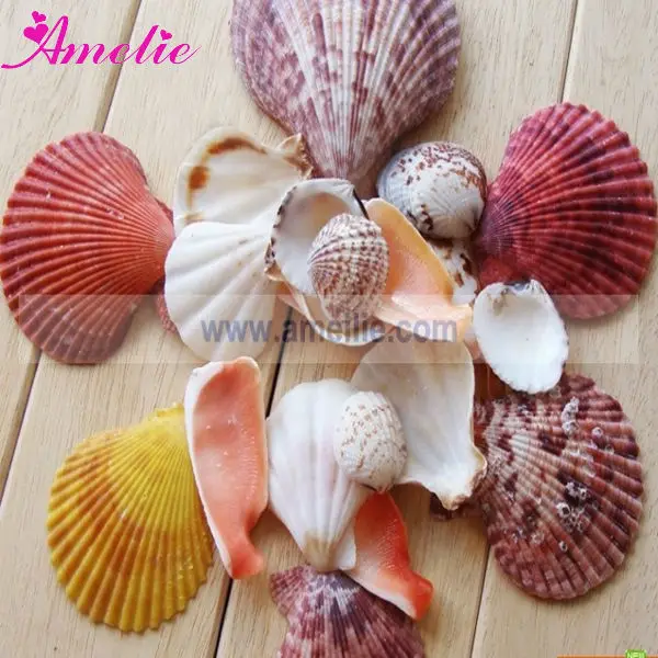 Get Strand thema tafeldecoraties Free HD