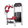 GANAS commercial rotary torso exercises weights gym machine