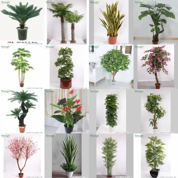 Plantas Artificiales De Imitación Para Oficina,Bonsái Verde De Palma,Plantas  De Imitación En Maceta Para Decoración De Interiores - Buy Faux Plantas  Viven Similares,Plantas Artificiales Bonsai,Alta Artificial Similar Pequeña  Palma Product on Alibaba.com