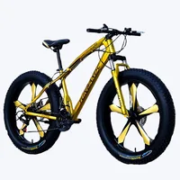 

2018cheap and high quality sport bike cool adult mountain bike snow bike