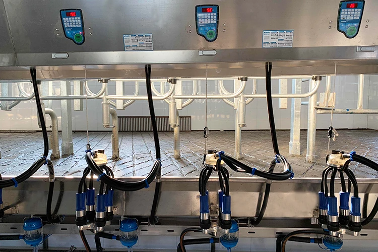 Automatic milking system cow milking machine price in India