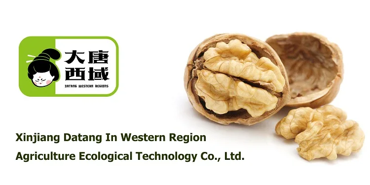 China Red Date With Walnut Raw Meat Nuts Exporters