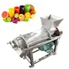 Hot sale automatic Cold press Commercial Aloe Vera Leaf Cold Press extractor machine / fruit and vegetable pressing machine