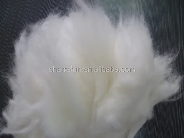 angora3