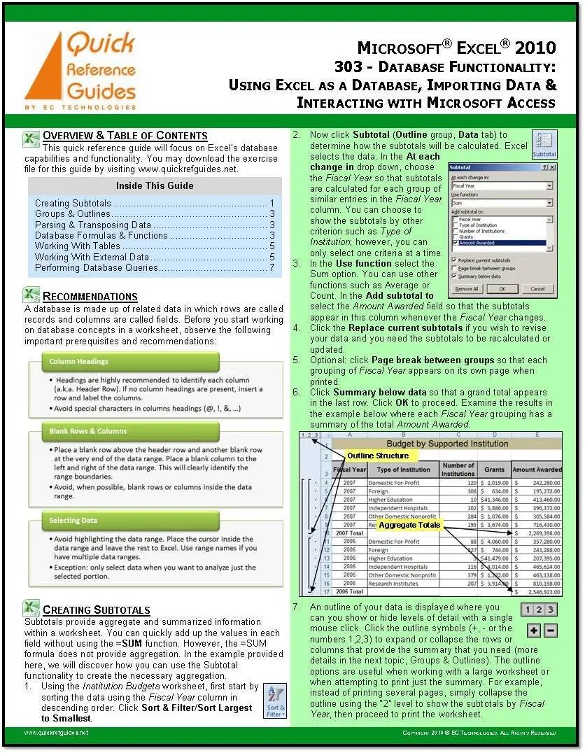 Get Quotations · MICROSOFT EXCEL 2010 Quick Reference Guide - Database  Functionality: Using Excel as a Database,