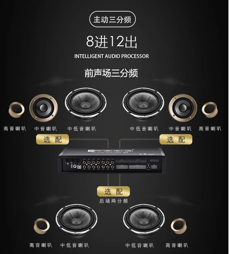 New 12 Ch Dsp Car Audio Amplifier 8in 12 Out For Usa Buy Dsp Car