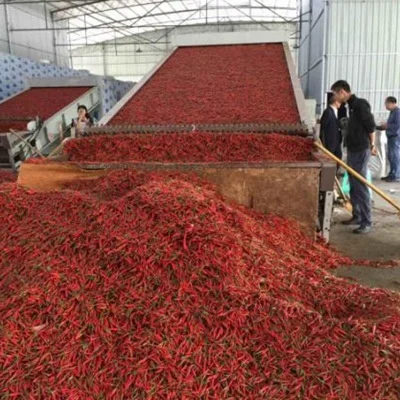 
Industrial food fruit vegetable conveyor mesh belt dryer vacuum belt dryer 