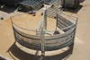 Livestock Handling Systems Cattle G Froce Yard