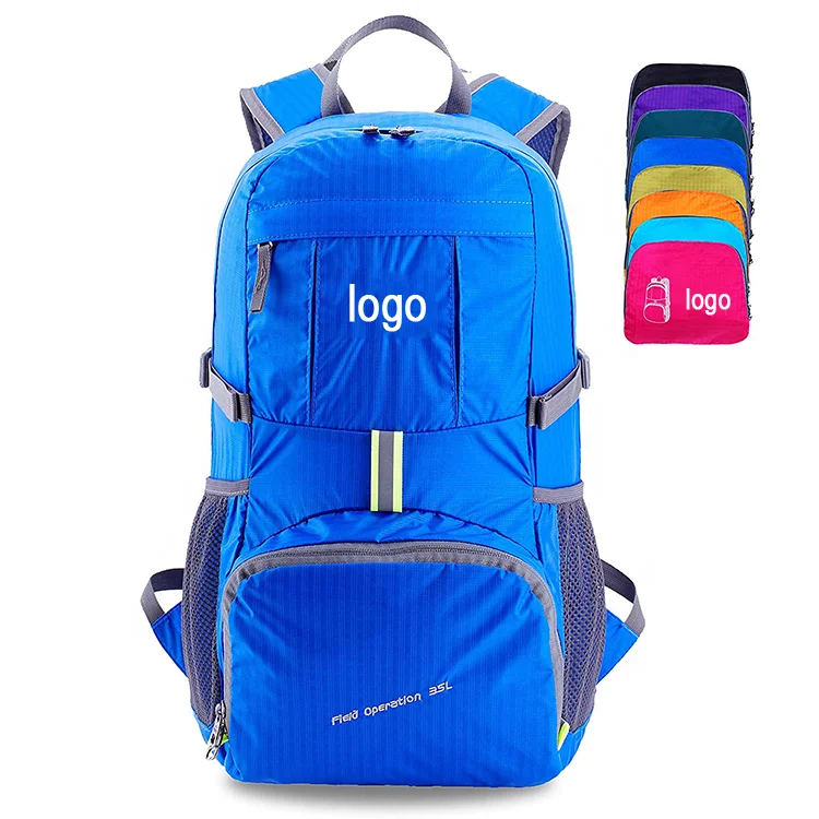 travel purse backpack