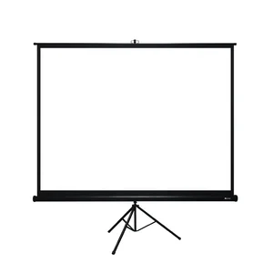 Portable 1080p Transparent Projection Screen