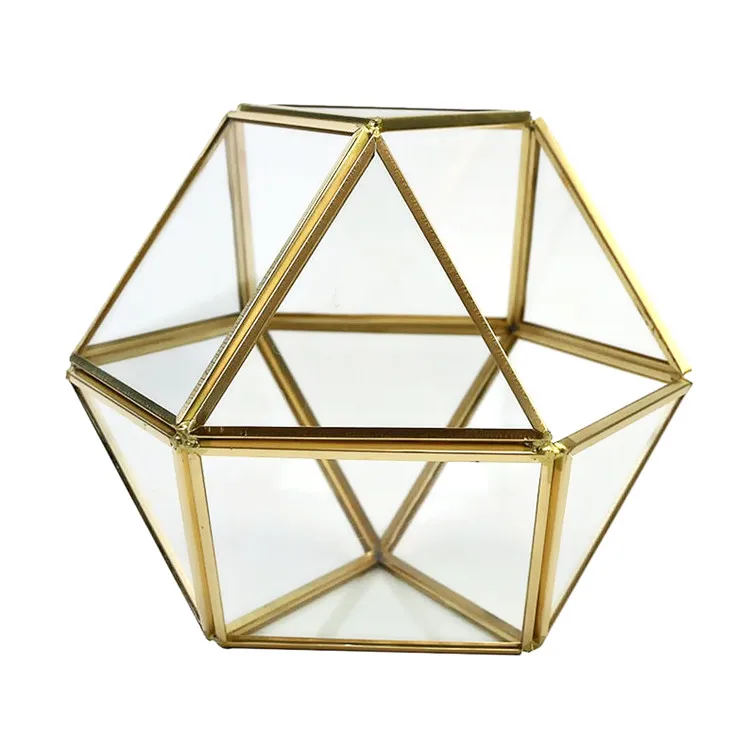Tabletop Glass Geometric Terrarium GoldBlack Planter Diy Display Box for Succulent Fern Moss Air Plants Mini Fairy Garden