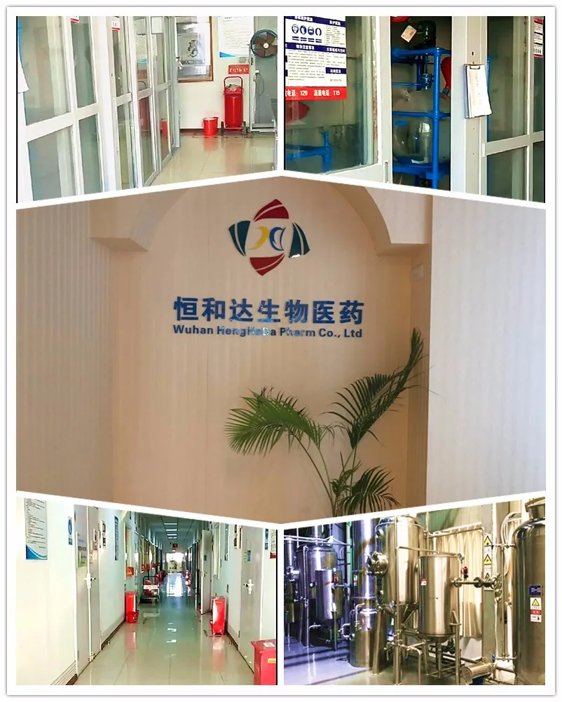 
Wuhan HHD Provide High Quality CAS 28829-38-1 Sodium Polyglutamate Powder Sodium Polyglutamate for Skin Care 